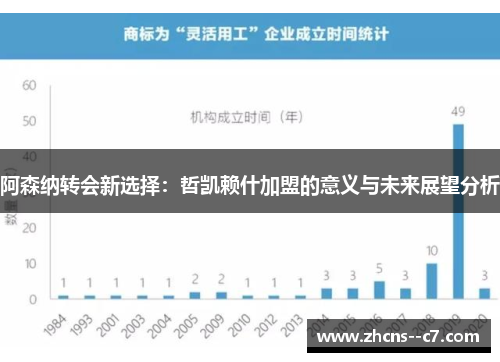 阿森纳转会新选择：哲凯赖什加盟的意义与未来展望分析