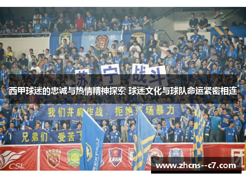 西甲球迷的忠诚与热情精神探索 球迷文化与球队命运紧密相连